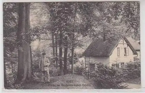 54282 Ak Kiel Partie im Düsterbrooker Gehölz 1917