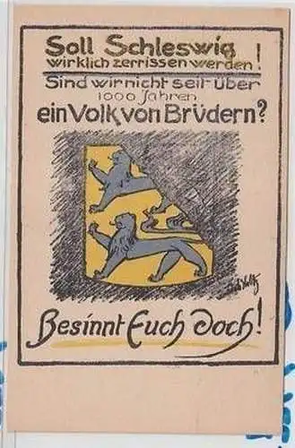 53641 Propaganda Ak Schleswig Erinnerung an die Abstimmung am 14. März 1920