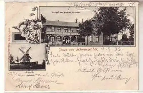 53415 Ak Gruß aus Schwarzenbek Windmühle und Gasthof zur schönen Aussicht 1903