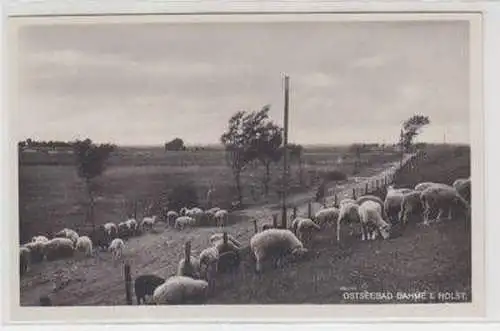 45930 Ak Ostseebad Dahme in Holstein Schafherde um 1930