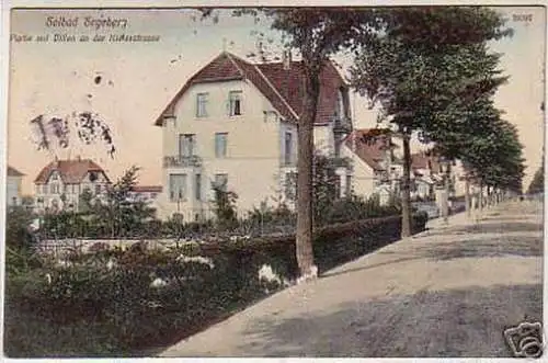 07468 Ak Solbad Segeberg Villen Kielerstrasse 1913