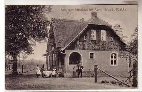 59560 Ak Forsthaus Pabsthaus bei Radis Inhaber H. Rönicke 1913