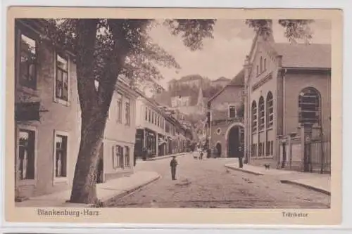 95181 Ak Blankenburg am Harz Tränketor um 1920