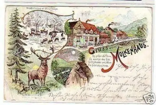 33062 Ak Lithographie Gruss aus Molkenhaus 1902