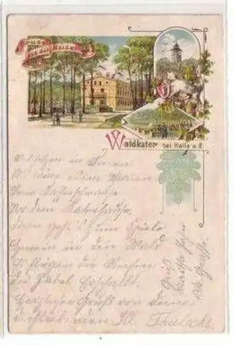 48070 Ak Lithographie Gruß aus der Haide Waldkater 1897