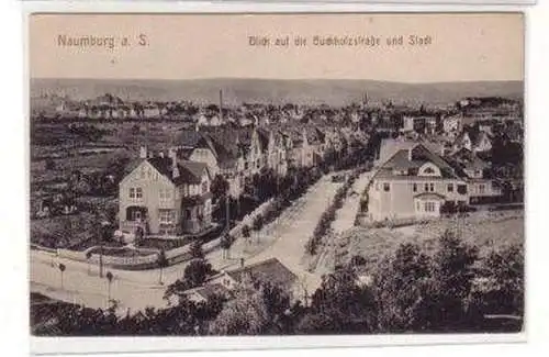 48364 Ak Naumburg a.S. Blick auf Buchholzstrasse um 1910