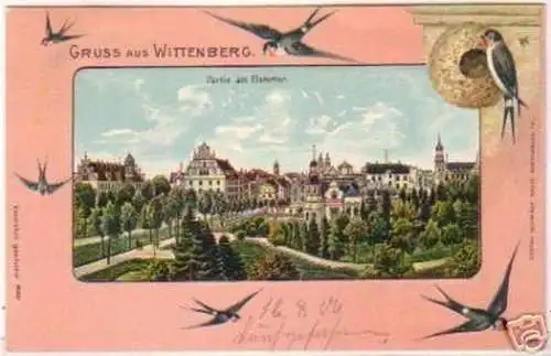 18592 Schwalben Ak Gruss aus Wittenberg um 1900