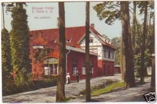 25379 Ak Dölauer Heide bei Halle an der Saale 1913