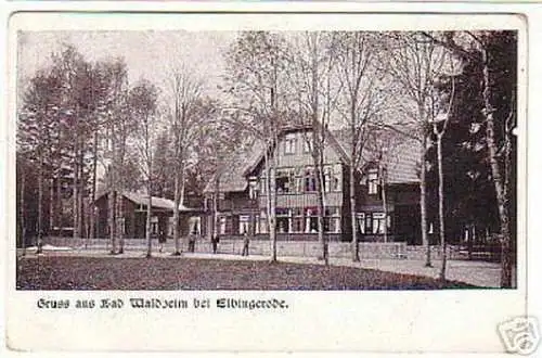 08252 Ak Gruß aus Bad Waldheim bei Elbingerode 1931