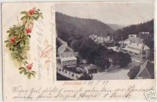 10137 Ak Gruss aus Alexisbad im Harz 1901