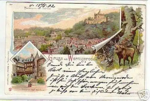 09638 Ak Lithographie Gruß aus Wernigerode 1902