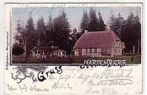 09608 Ak Gruß vom Hartenberg bei Elbingerode 1902