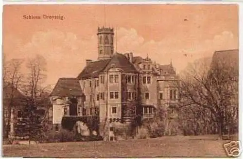 07531 Ak Schloss Droyssig bei Zeitz um 1920