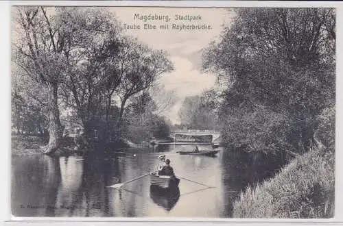 87635 Ak Magdeburg Stadtpark Taube Elbe mit Reyherbrücke 1906