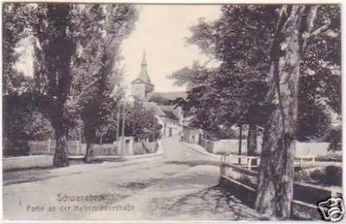 27471 Ak Schwanebeck Halberstädterstraße 1919