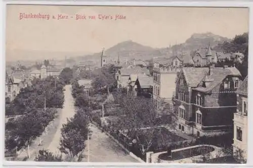 95183 Ak Blankenburg am Harz - Blick von Tyler's Höhe um 1920