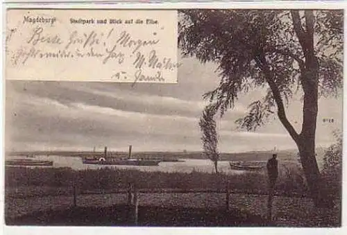 27522 Ak Magdeburg Stadtpark und Blick auf die Elbe