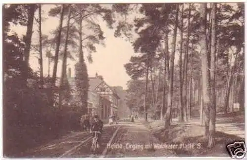 25765 Ak Heide Eingang mit Waldkater Halle Saale 1915