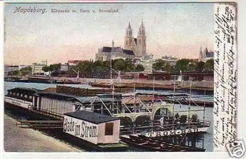 31371 Ak Magdeburg Elbe mit Bade im Strom um 1905