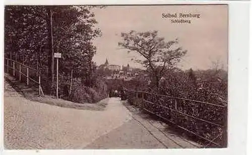 41749 Ak Solbad Bernburg Schloßberg 1928