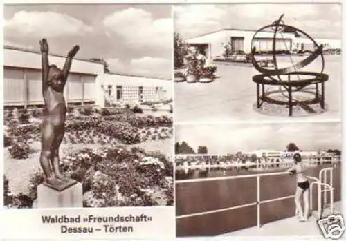 29856 Ak Dessau Törten Waldbad "Freundschaft" 1981