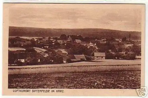 15137 Ak Luftkurort Siptenfelde im Harz um 1920