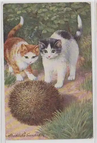 68045 Kitsch Ak Katzen Babys spielen mit Idel 'Stachlige Geschichte' um 1910