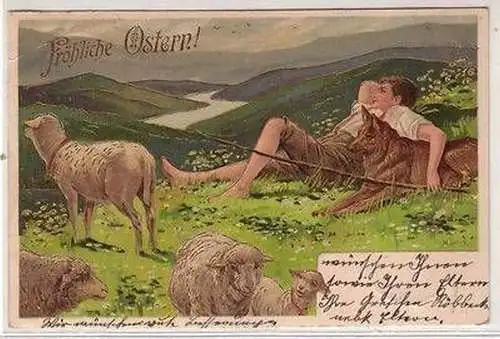 27962 Fröhliche Ostern Präge Ak Junge mit Hund und Schafen 1905