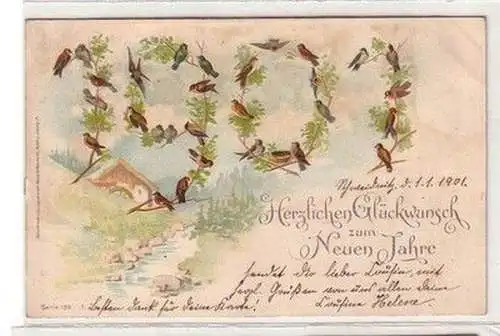 59951 Neujahrs Präge Ak Vögel bilden die Jahreszahl 1901