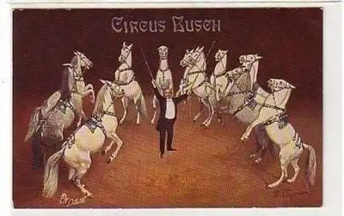 29618 Ak Circus Busch Pferde Dessur um 1910