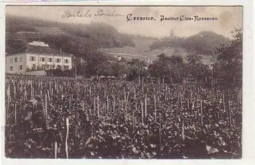 25118 Ak Cressier Institut Clos Rousseau Schweiz um1910