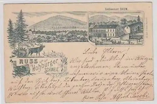 44329 Mehrbild Ak Gruß aus der Hohburger Schweiz 1897