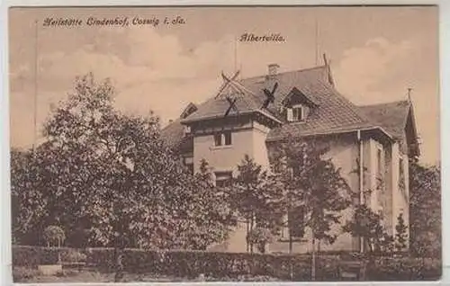 51732 Ak Coswig in Sa. Heilstätte Lindenhof Albertvilla um 1920