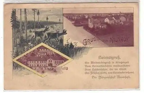 52390 Mehrbild Karte Gruß aus Naunhof 1916