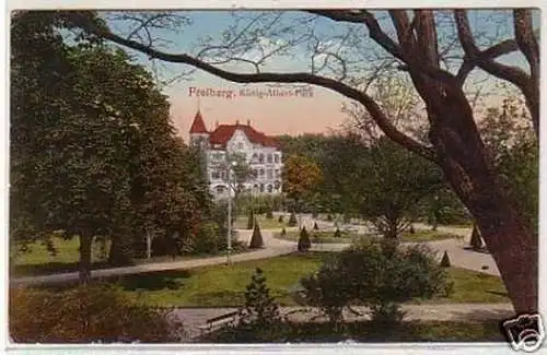 05871 Ak Freiberg König Albert Park 1924