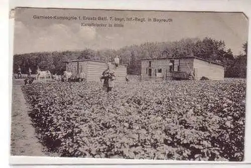 45409 Ak Bayreuth Garnision Kartoffelacker in Blüte1916