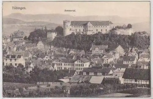 50052 Ak Tübingen Ammertal Totalansicht 1911