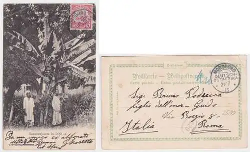 49661 Ak Bananenbaum Deutsch Ostafrika DOA Stempel Morogoro 1913