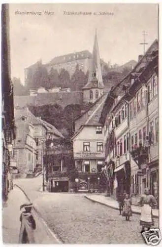 24610 Ak Blankenburg Harz Tränkestrasse u. Schloss 1908