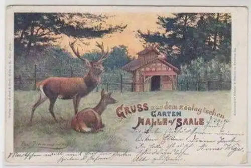 47046 Ak Lithographie Gruss aus Halle a.S. ZOO 1902