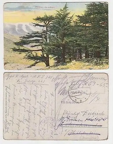 65971 Ak mit Feldpoststempel Türkei Deutsche Feldpost Damaskus 1918