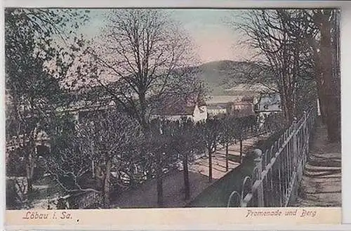 66642 Ak Löbau in Sachsen Promenade und Berg 1907