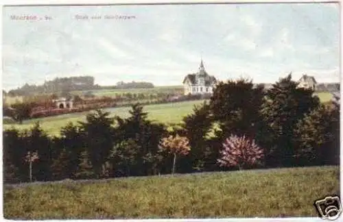 26061 Ak Meerane in Sa. Blick vom Schillerpark 1908