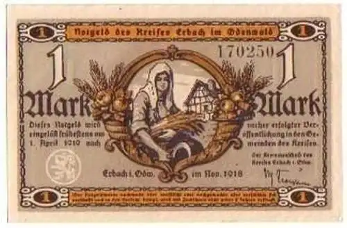 1 Mark Banknote Notgeld Kreis Erbach im Odenwald 1919