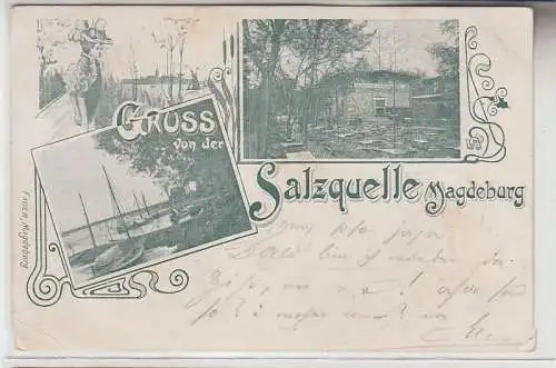 71302 Ak Gruss von der Salzquelle Magdeburg, Mehransicht, 1899