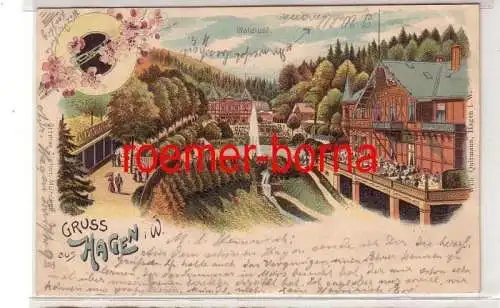 76752 Ak Lithografie Gruss aus Hagen i.W. Waldlust 1901