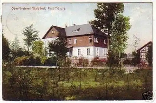 17068 Ak Oberförsterei Walddorf bei Trünzig 1911