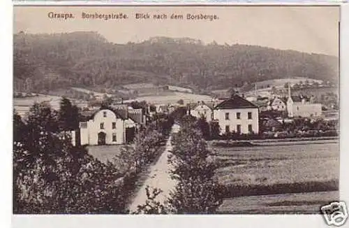 31727 Ak Graupa Borsbergstrasse um 1910