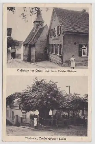 78157 Mehrbild Ak Malchen b. Darmstadt Gasthaus zur Linde, Tausendjährige Linde