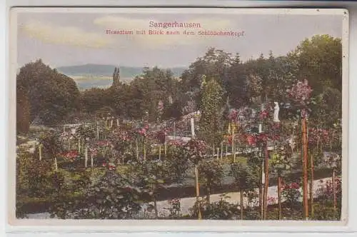 71747 Ak Sangerhausen Rosarium mit Blick nach dem Schlößchenkopf um 1920